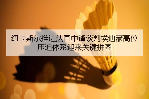 纽卡斯尔推进法国中锋谈判埃迪豪高位压迫体系迎来关键拼图 - Fengyun Sports