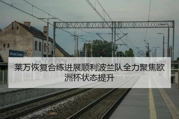 莱万恢复合练进展顺利波兰队全力聚焦欧洲杯状态提升 | Fengyun Sports